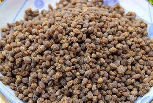 娱乐吃瓜酱吃苦,揭秘娱乐圈苦中作乐的酸甜苦辣  第2张