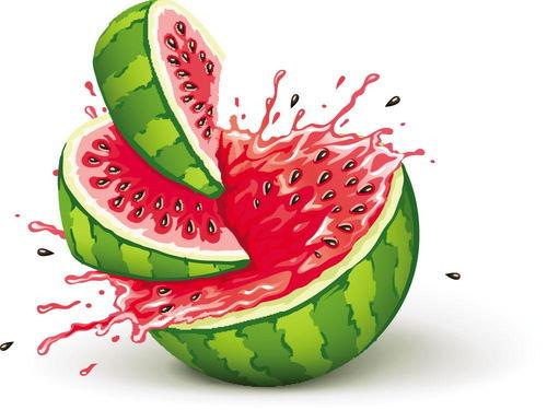 小孩娱乐吃瓜,小宝贝们的快乐“吃瓜”时光  第1张