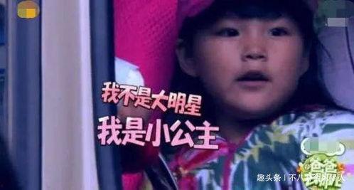 娱乐吃瓜酱爸妈,揭秘明星家庭背后的故事  第3张