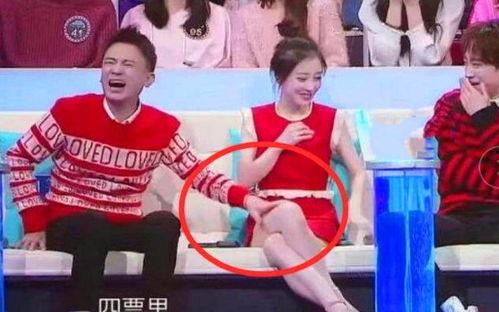 穿越娱乐圈综艺节目组吃瓜系统,揭秘综艺幕后那些事  第1张