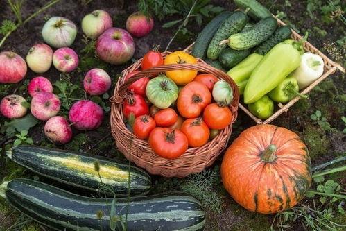 吃瓜娱乐园,娱乐圈幕后故事大公开 第3张 吃瓜娱乐园,娱乐圈幕后故事大公开 第3张