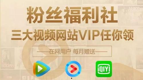 娱乐吃瓜不站队,吃瓜群众不站队，揭秘幕后真相  第1张