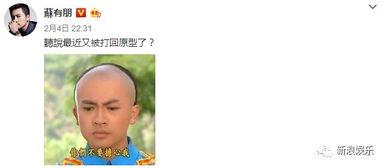 闲来娱乐吃瓜,吃瓜群众揭秘娱乐圈幕后故事 第3张 闲来娱乐吃瓜,吃瓜群众揭秘娱乐圈幕后故事 第3张