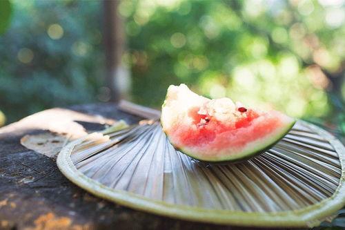 娱乐吃瓜入口,吃瓜群众们的狂欢盛宴  第1张