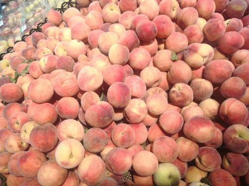 小豪娱乐吃瓜,揭秘娱乐圈最新吃瓜事件 第1张 小豪娱乐吃瓜,揭秘娱乐圈最新吃瓜事件 第1张