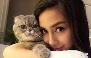 娱乐吃瓜猫咪视频,猫咪吃瓜视频大盘点 第2张 娱乐吃瓜猫咪视频,猫咪吃瓜视频大盘点 第2张