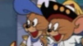 娱乐吃瓜猫咪视频,猫咪吃瓜视频大盘点 第3张 娱乐吃瓜猫咪视频,猫咪吃瓜视频大盘点 第3张