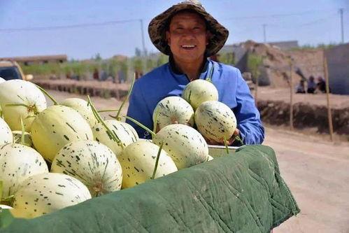 娱乐吃瓜州,揭秘娱乐圈背后的故事与八卦  第1张