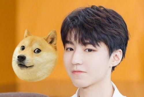 王俊凯吃瓜娱乐视频直播,揭秘娱乐圈幕后故事  第1张