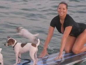 娱乐吃瓜君小狗,揭秘娱乐圈那些不为人知的幕后故事  第2张