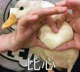 娱乐吃瓜酱鸭鸭,揭秘娱乐圈那些鲜为人知的幕后故事  第3张