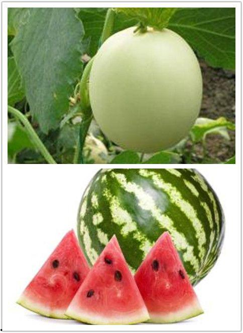 欣欣带你娱乐吃瓜,揭秘娱乐圈幕后故事  第1张