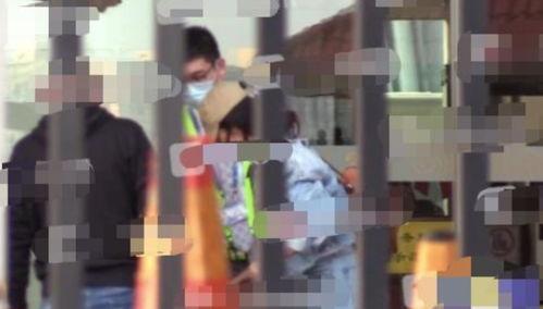 娱乐吃瓜小三,揭秘“吃瓜”小三背后的故事  第2张