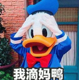 娱乐吃瓜君鸭  第2张