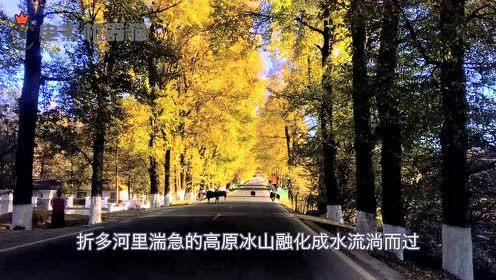 娱乐吃瓜君别墅,揭秘隐藏在豪宅背后的奢华生活  第1张