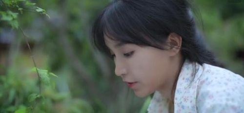 柒柒娱乐吃瓜,揭秘娱乐圈最新吃瓜事件，带你领略明星幕后故事  第3张