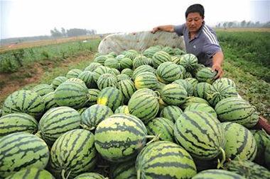 娱乐吃瓜居民 第3张 娱乐吃瓜居民 第3张