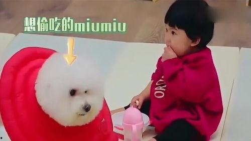 娱乐吃瓜妞  第3张