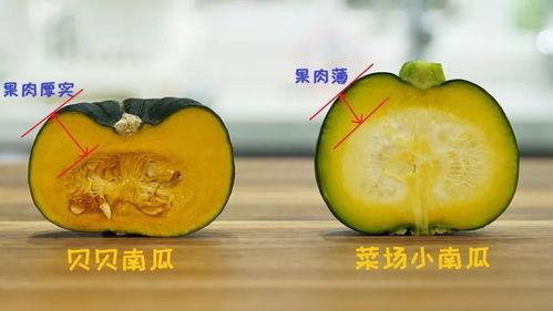 娱乐吃瓜小南瓜,南瓜带你领略娱乐圈的甜蜜与苦涩  第3张