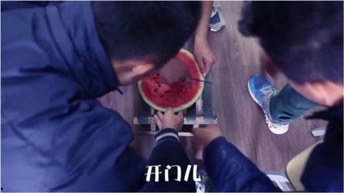 吃瓜娱乐奇葩视频,笑料百出！盘点那些让人捧腹大笑的吃瓜娱乐奇葩视频  第3张