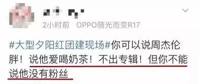 娱乐吃瓜报道文案,明星们背后的那些事儿  第3张