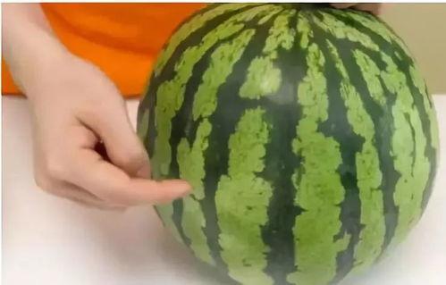 娱乐吃瓜和导演吃瓜区别,揭秘幕后真相的两种视角  第2张