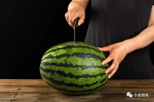 娱乐吃瓜方式,明星们的“吃瓜”日常  第3张