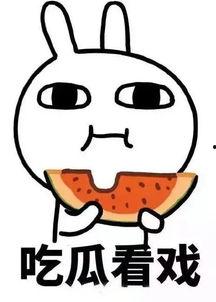 娱乐吃瓜酱内向,内向者的快乐生活指南  第2张