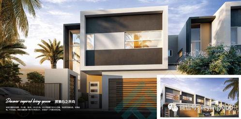 娱乐吃瓜设计理念,吃瓜群众的狂欢盛宴  第3张