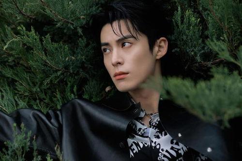 娱乐圈吃瓜爆料王鹤棣刘亦菲  第2张