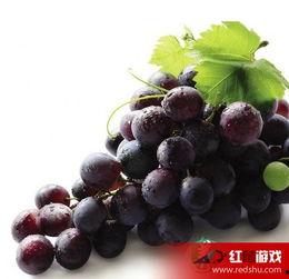 娱乐吃瓜酱葡萄娱乐,揭秘娱乐圈幕后故事与趣味瞬间 第3张 娱乐吃瓜酱葡萄娱乐,揭秘娱乐圈幕后故事与趣味瞬间 第3张