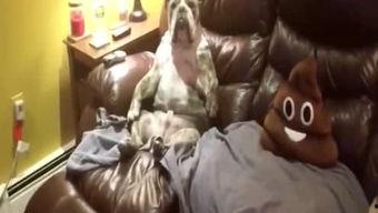 吃瓜侠看娱乐,吃瓜侠带你领略娱乐圈风云变幻  第3张